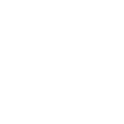 OCTO